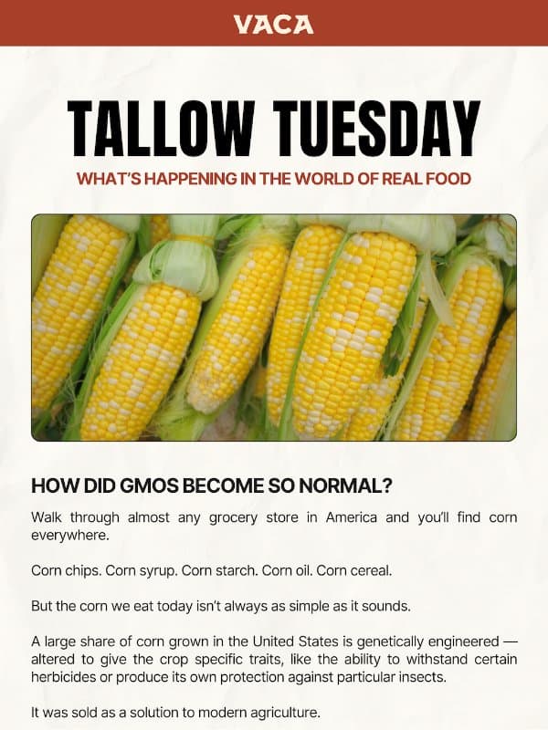 GMO corn? No thank you. 🌽 email from Vaca Chips