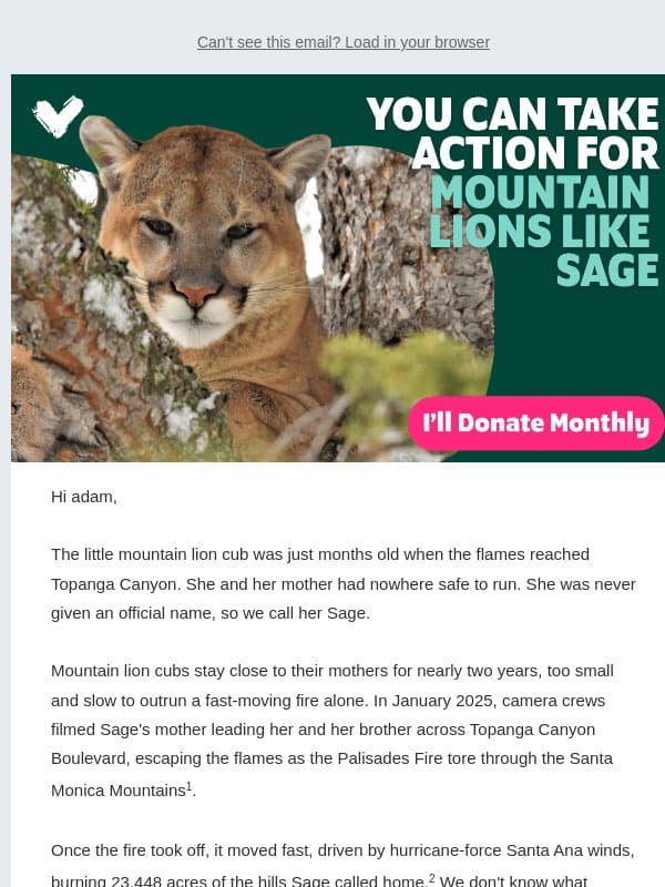 Sage's home is destroyed, adam email from Veganuary