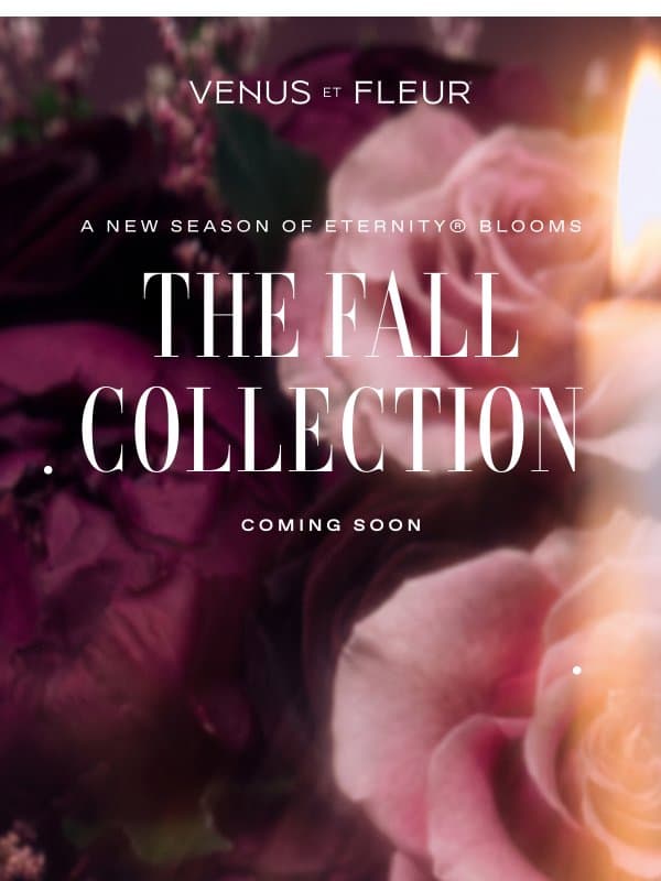 Coming Soon | The Fall Collection Is Almost Here email from Venus et Fleur