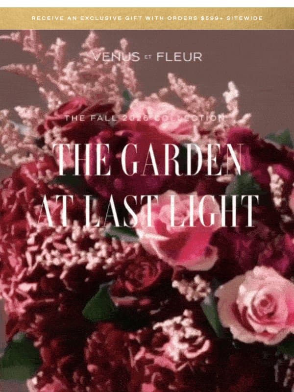 An Ode to Autumn: The Fall Collection Has Arrived email from Venus et Fleur