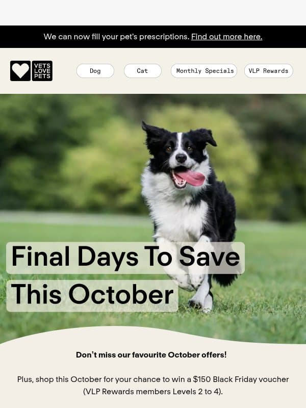 Last call! Don't miss October's offers email from Vets Love Pets