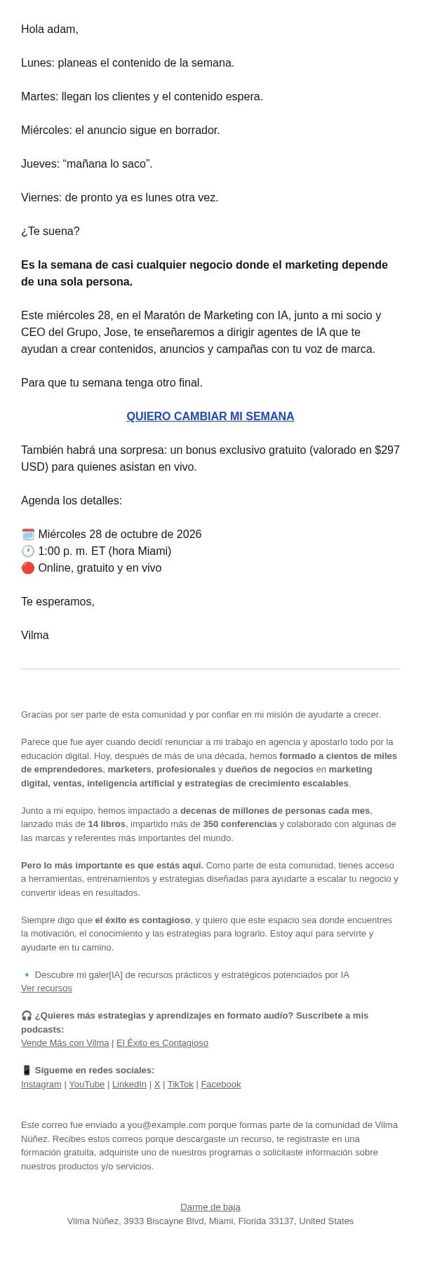 Tu marketing no necesita más horas. Necesita más manos email from Vilma Núñez screenshot
