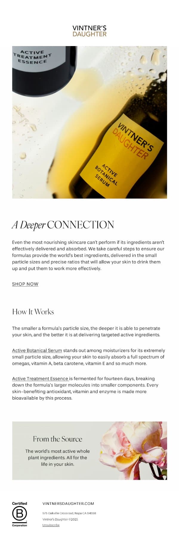 The One Thing That Matters More Than Ingredients email from Vintner's Daughter screenshot