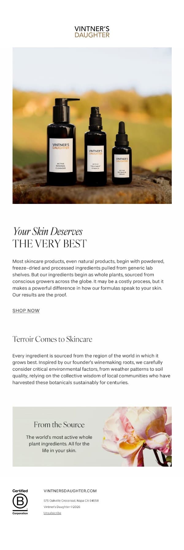 Finding the World’s Best Ingredients email from Vintner's Daughter screenshot