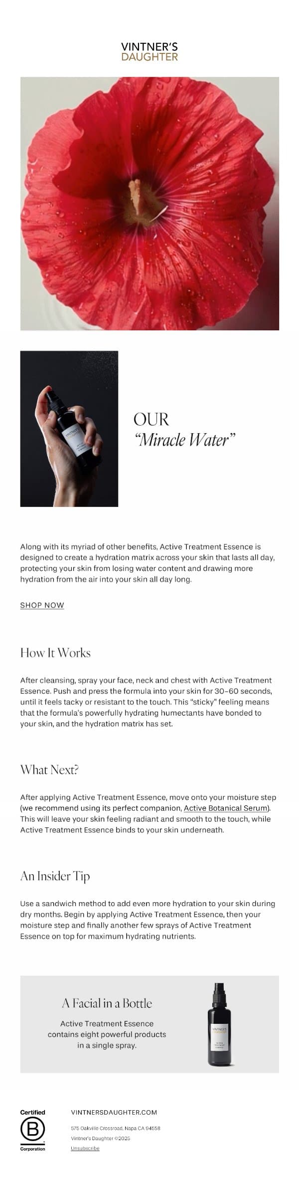 Keep Your Skin Hydrated All Day email from Vintner's Daughter screenshot