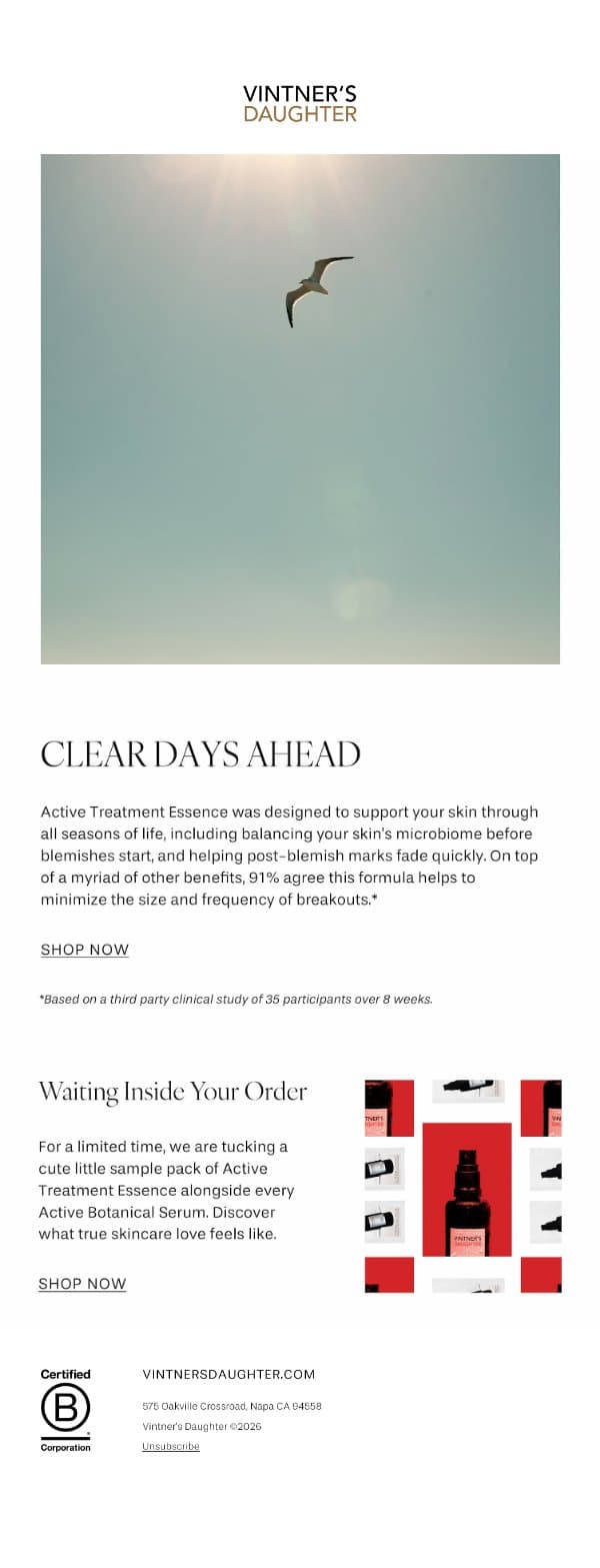For Blemish-Prone Skin email from Vintner's Daughter screenshot