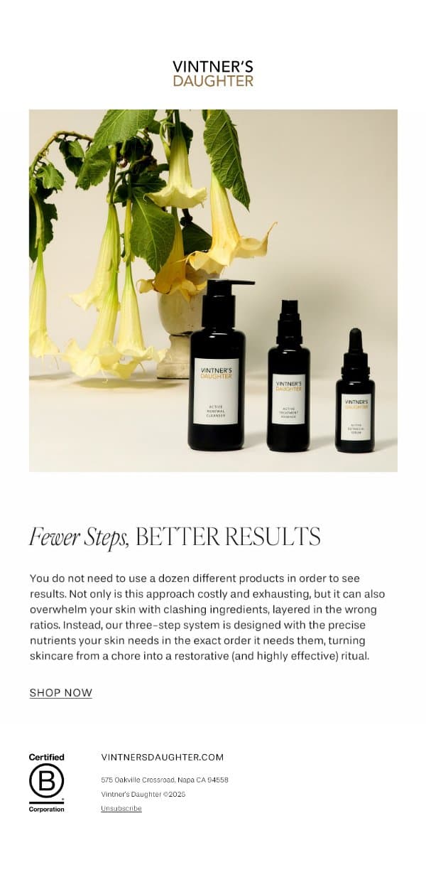 Say Goodbye to the 12-Step Routine email from Vintner's Daughter screenshot