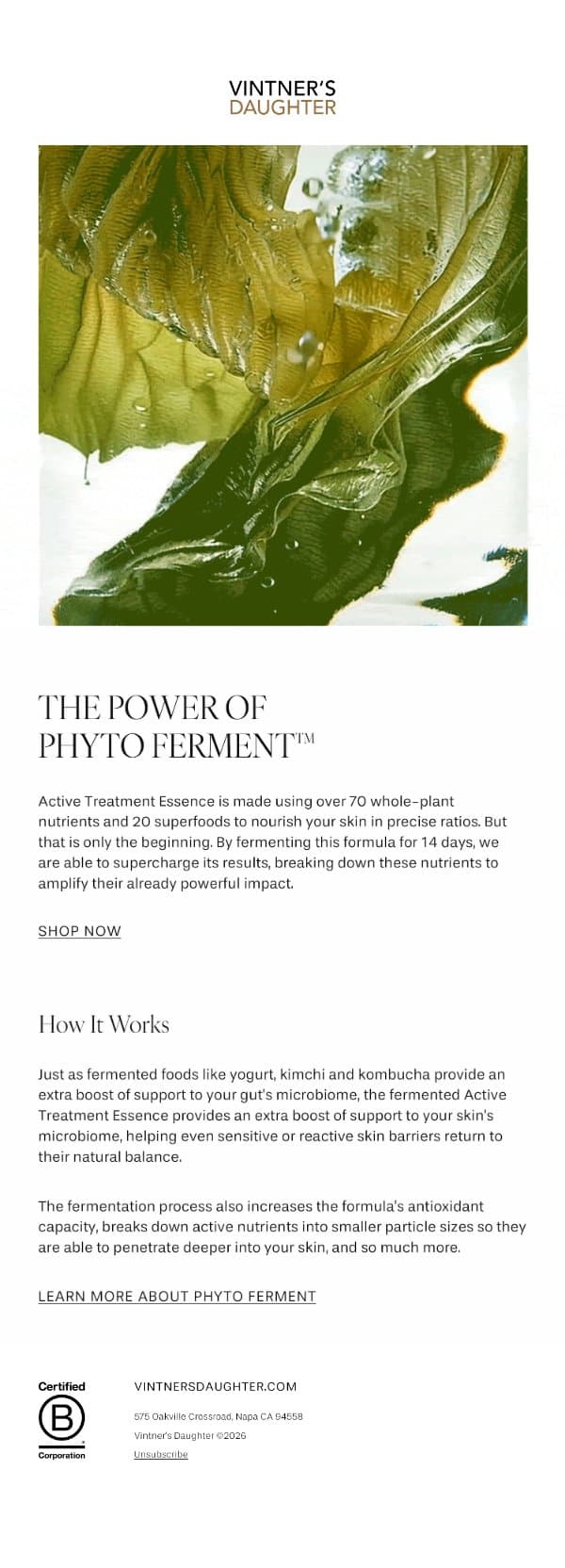 Does Fermented Skincare Actually Work? email from Vintner's Daughter screenshot