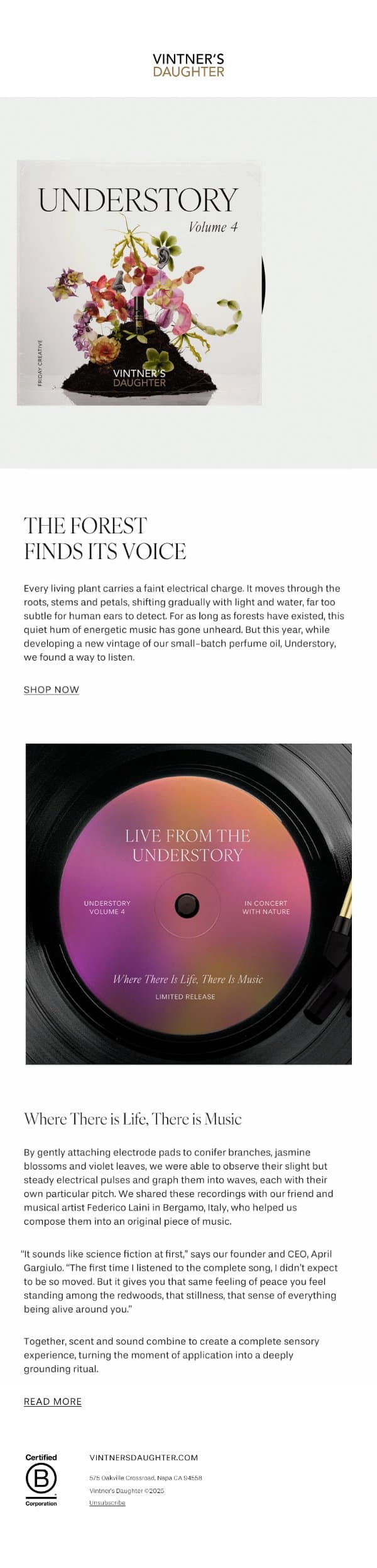 Live in Concert: The Music of the Understory email from Vintner's Daughter screenshot