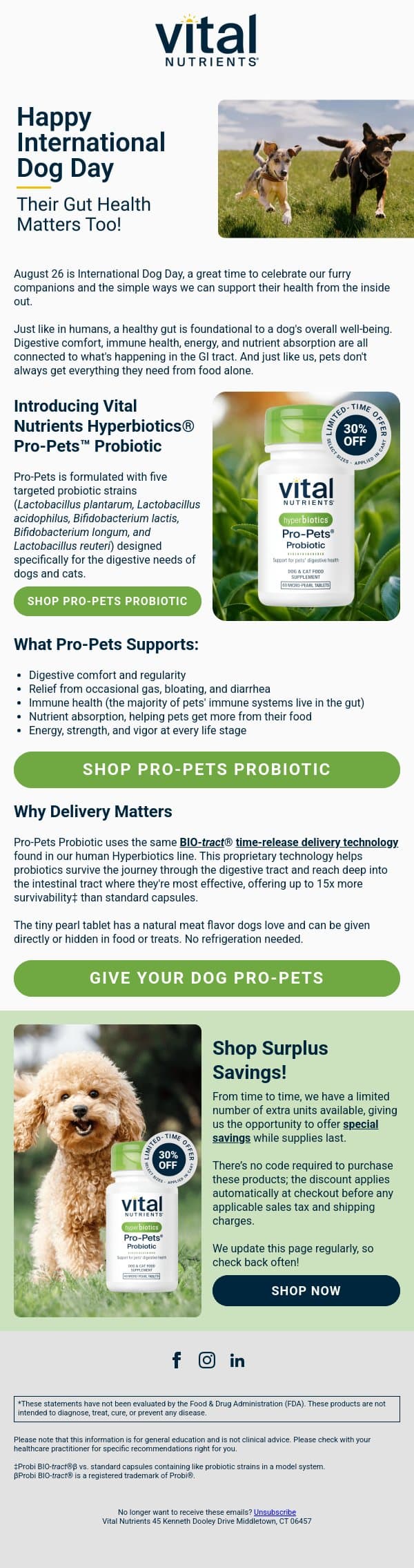 Happy International Dog Day email from Vital Nutrients screenshot