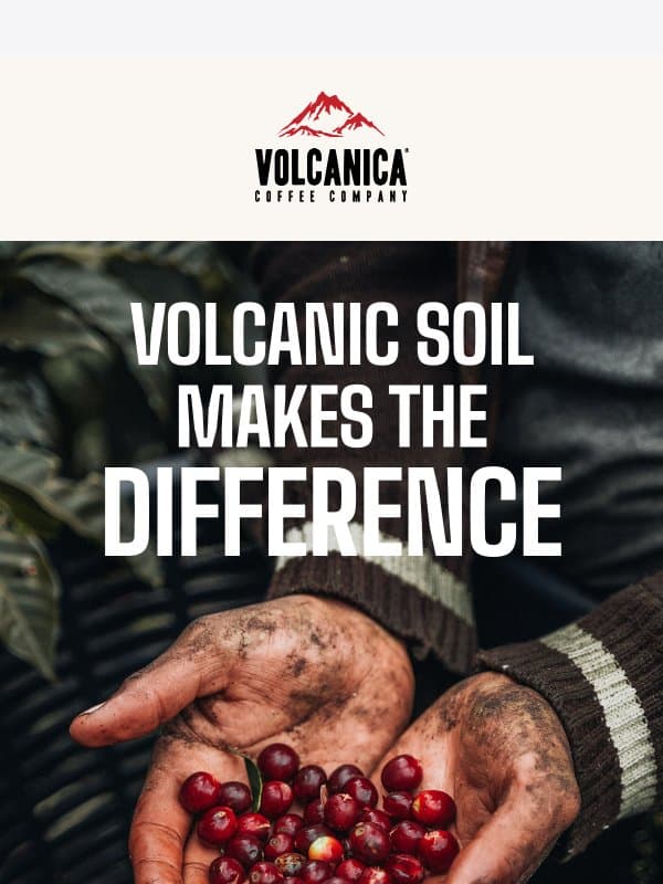 This isn't just "another coffee brand email from Volcanica Coffee