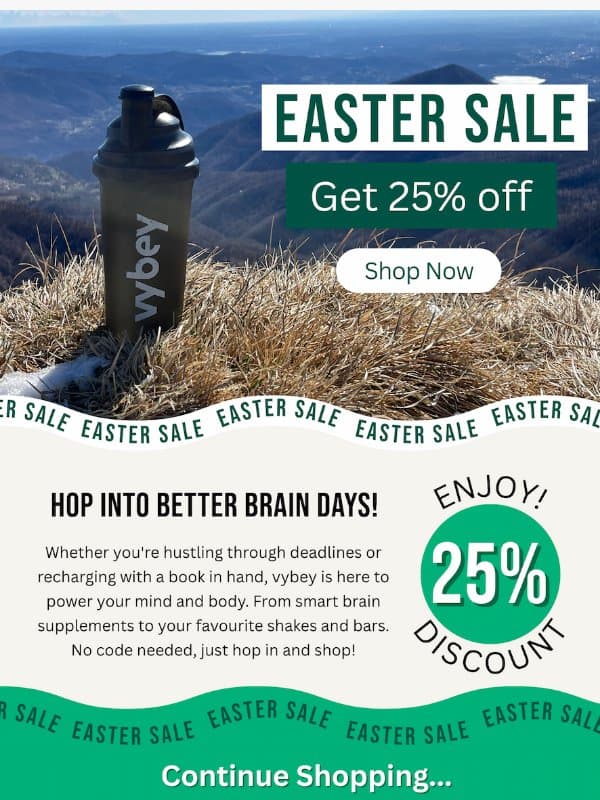 🐣 Easter Sale: 25% Off Everything – No Code Needed! email from vybey