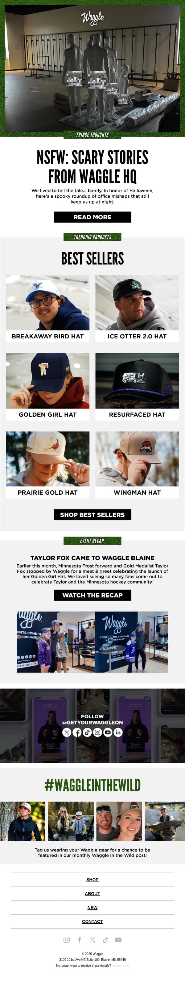 Fringe Thoughts: Scary Stories from Waggle HQ email from Waggle screenshot