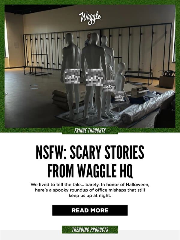Fringe Thoughts: Scary Stories from Waggle HQ email from Waggle