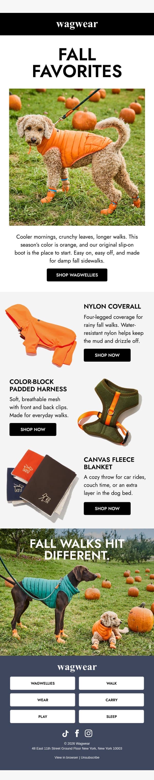 Fall walks, sorted 🍂 email from Wagwear screenshot