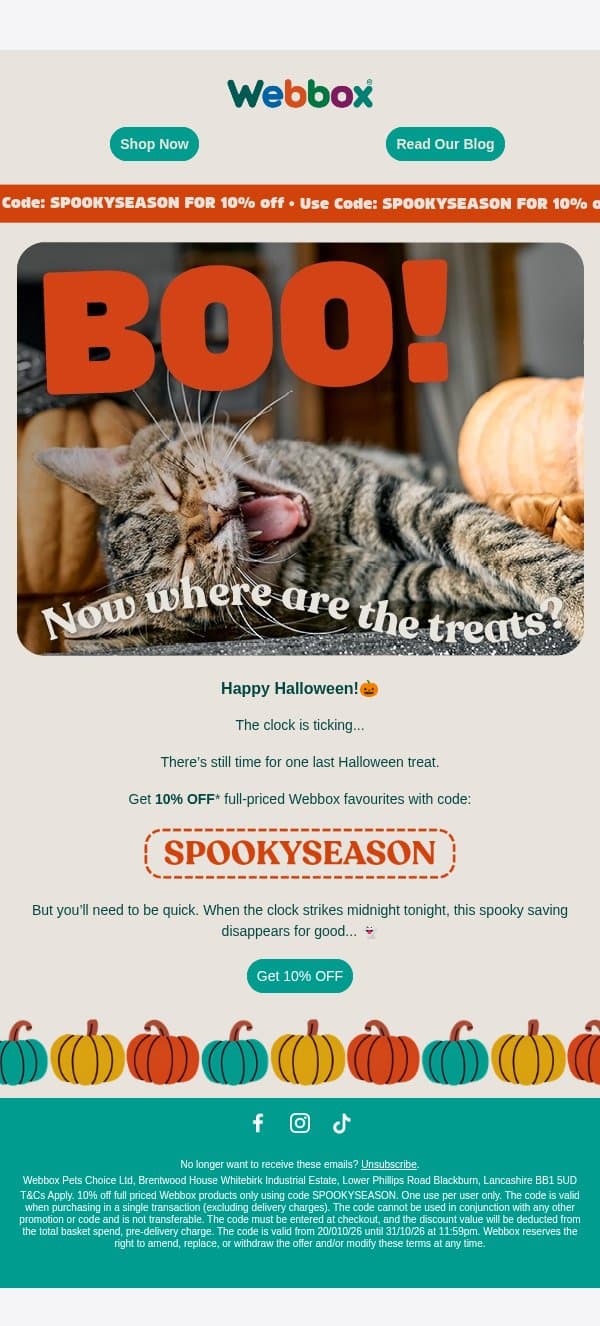 Your 10% OFF disappears at midnight π» email from Webbox screenshot