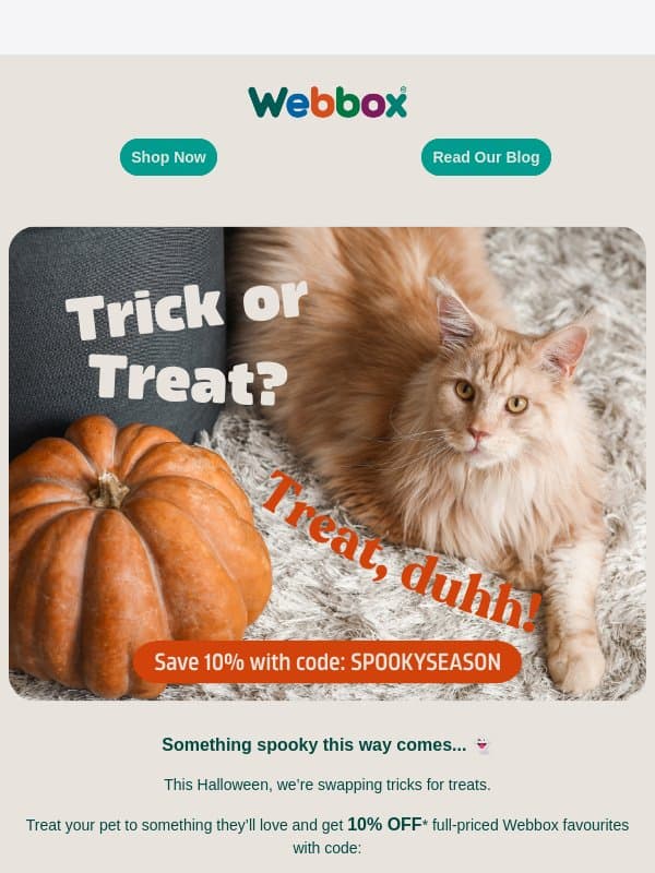 No tricks, just 10% OFF 🎃 email from Webbox