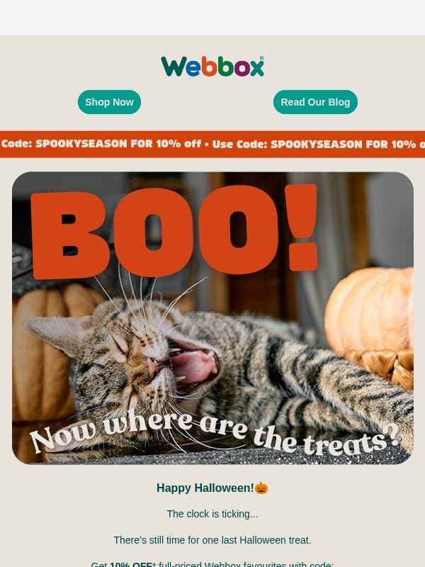 Your 10% OFF disappears at midnight 👻 email from Webbox