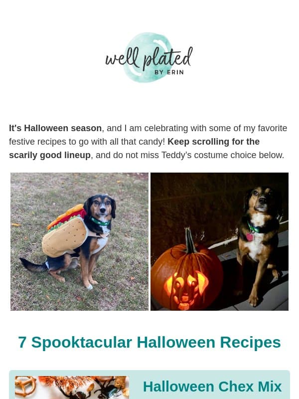 Teddy’s Costume + 7 Halloween Recipes 👻 email from Well Plated by Erin