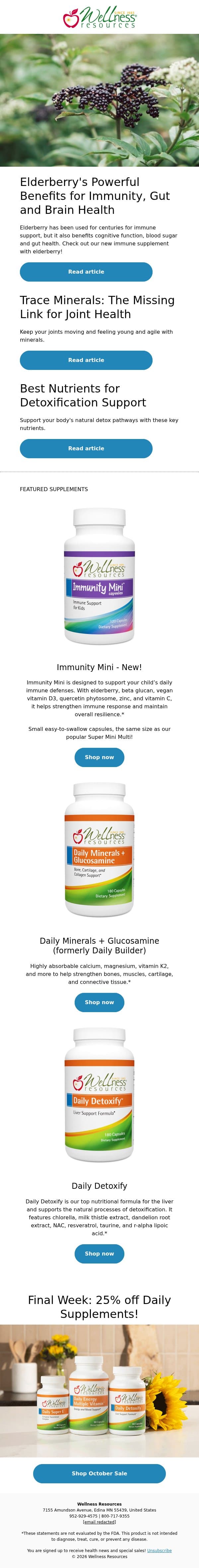 Elderberry’s Powerful Benefits for Immunity, Gut and Brain Health email from Wellness Resources screenshot