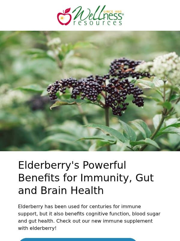 Elderberry’s Powerful Benefits for Immunity, Gut and Brain Health email from Wellness Resources