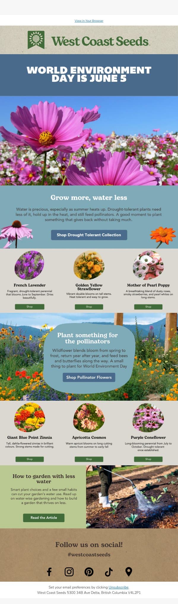 Grow More, Water Less This World Environment Day email from West Coast Seeds screenshot