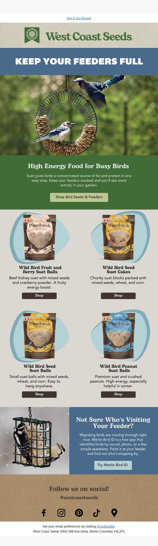 Fuel for your garden visitors 🐤 email from West Coast Seeds screenshot