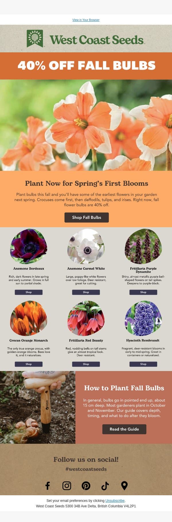 Fall bulbs are 40% off email from West Coast Seeds screenshot