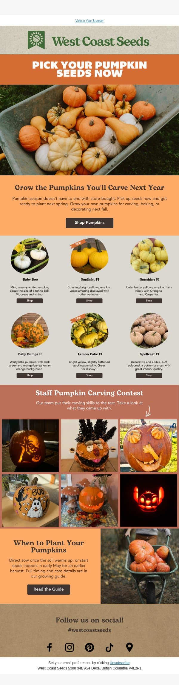 Grow the pumpkins you'll carve next year 🎃 email from West Coast Seeds screenshot