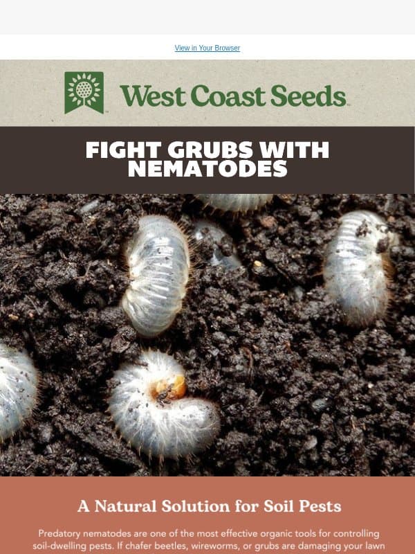 Nematodes are in stock and shipping now! email from West Coast Seeds