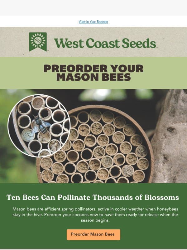 Preorder your mason bees 🐝 email from West Coast Seeds