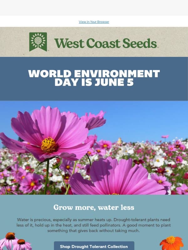 Grow More, Water Less This World Environment Day email from West Coast Seeds