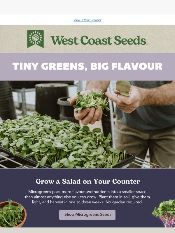 Tiny greens, big flavour email from West Coast Seeds