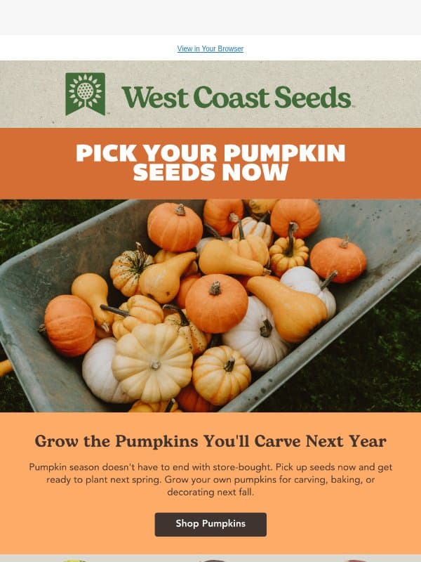 Grow the pumpkins you'll carve next year 🎃 email from West Coast Seeds
