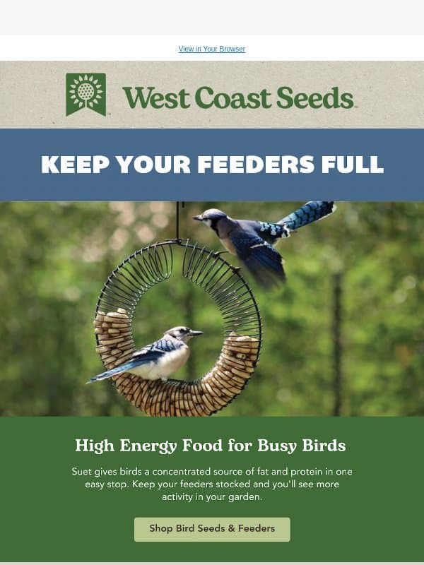 Fuel for your garden visitors 🐤 email from West Coast Seeds