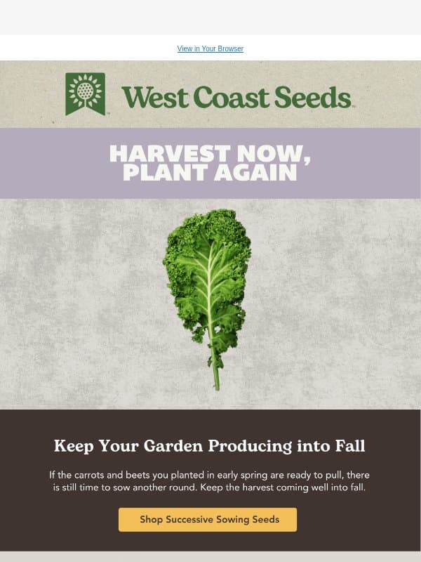 Your spring roots are ready. Here's what to do next email from West Coast Seeds