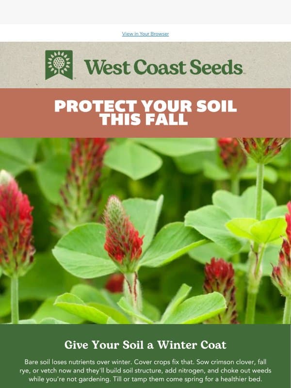 Give Your Soil a Winter Coat with Cover Crops email from West Coast Seeds