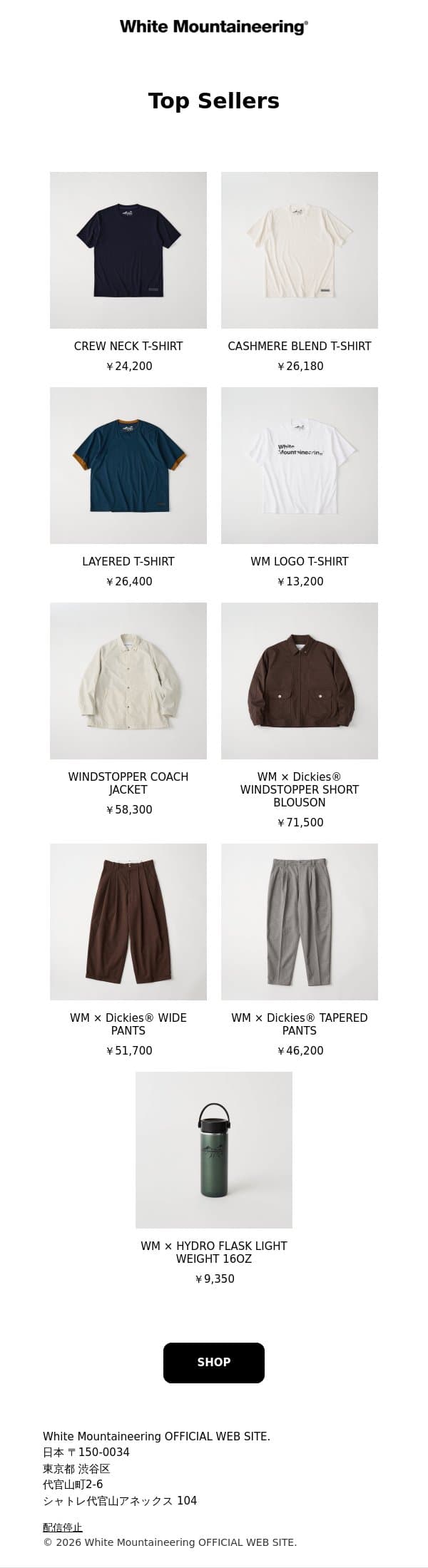 WM Top Sellers email from White Mountaineering screenshot