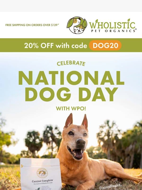 🐶 FINAL HOURS: 20% OFF for National Dog Day email from Wholistic Pet Organics