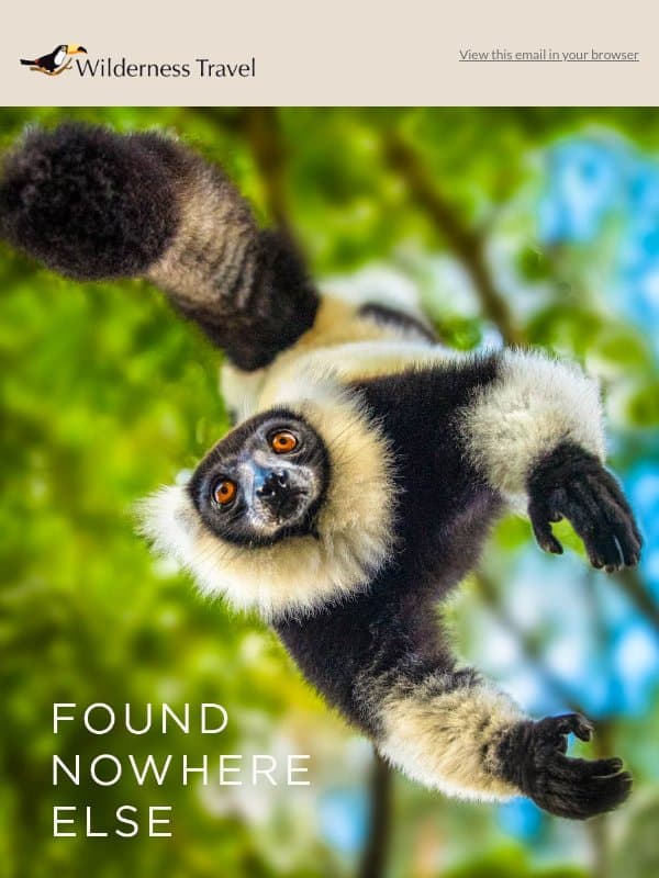 Wildlife Found Nowhere Else on Earth email from Wilderness Travel