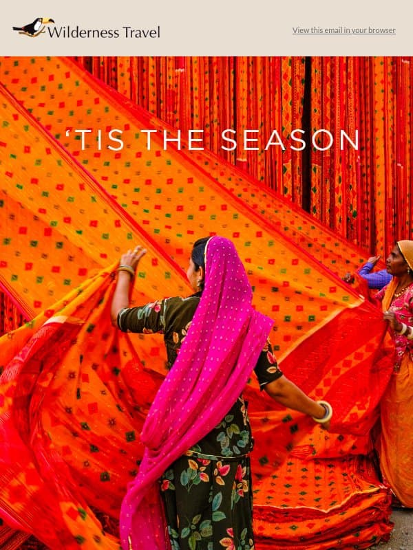 Holiday Travel Planning Begins Now ✨ email from Wilderness Travel