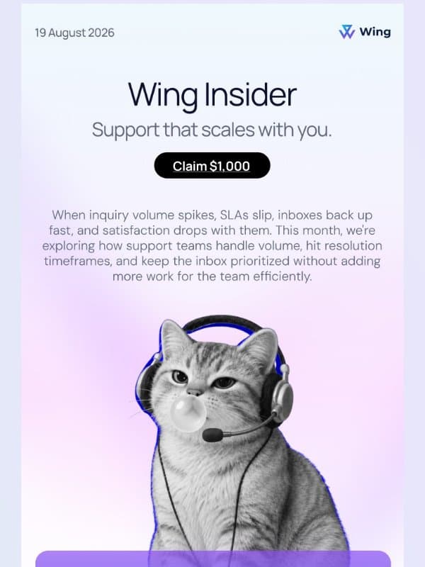 Wing Insider: What happens when support can’t keep up? email from Wing Assistant