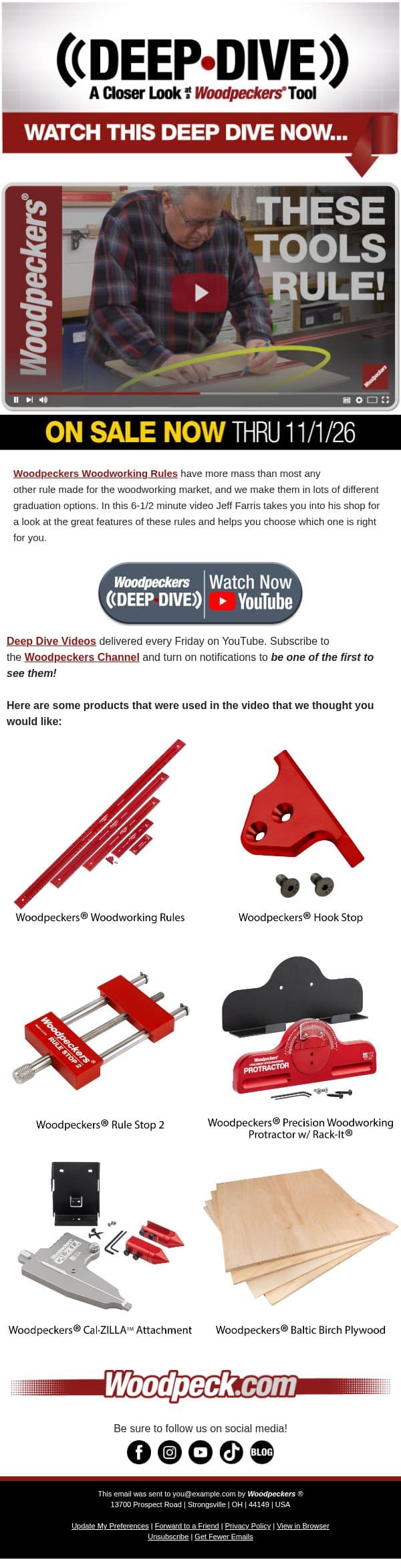 DEEP DIVE: These Rules RULE! email from Woodpeckers screenshot