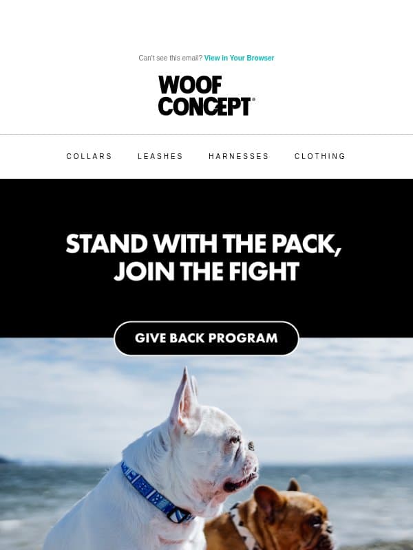 Join our movement to help animals in need email from Woof Concept