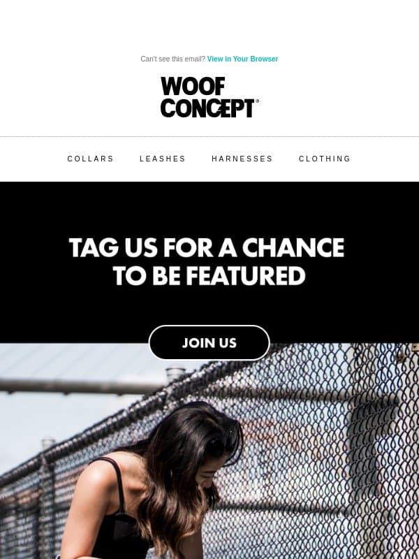 Casting call for your dog! email from Woof Concept