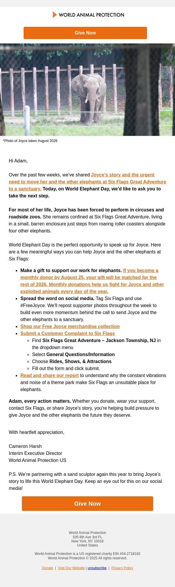 Let’s Help Joyce on World Elephant Day 🐘 email from World Animal Protection screenshot