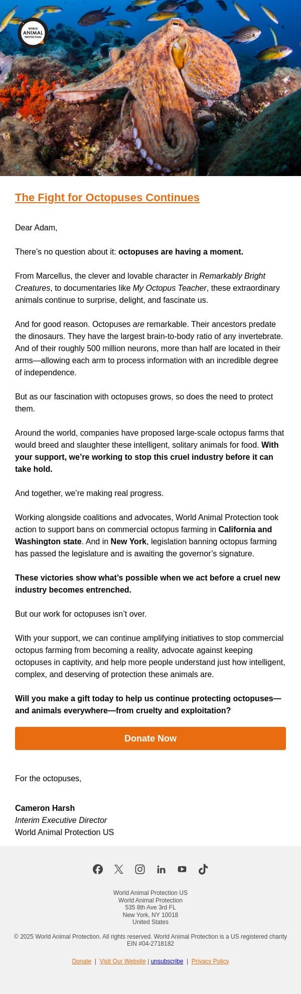 World Octopus Day Was Last Week… Here’s What You Made Possible email from World Animal Protection screenshot