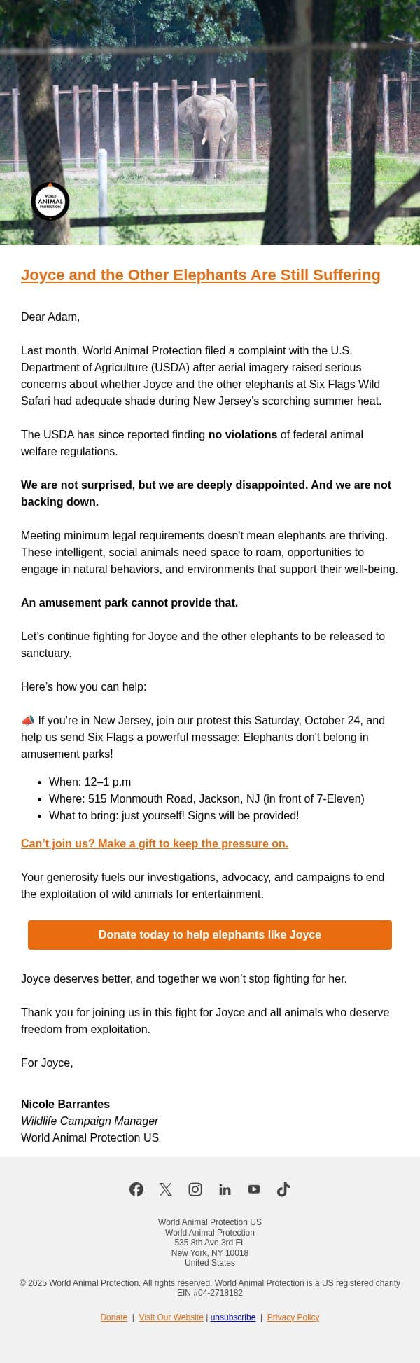 Our Response: USDA Complaint Outcome Over Shade for Joyce email from World Animal Protection screenshot