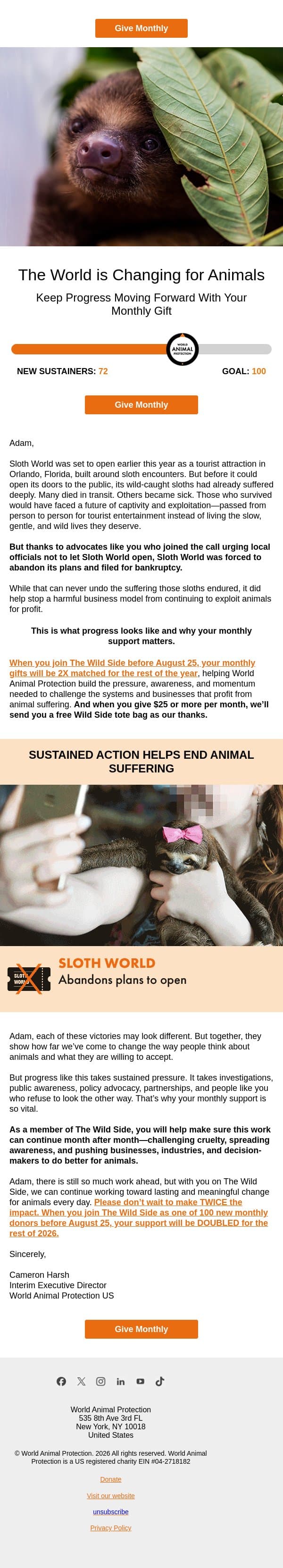Adam, This is What Progress Looks Like... email from World Animal Protection screenshot