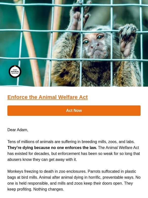 Demand Congress Hold Animal Abusers Accountable email from World Animal Protection